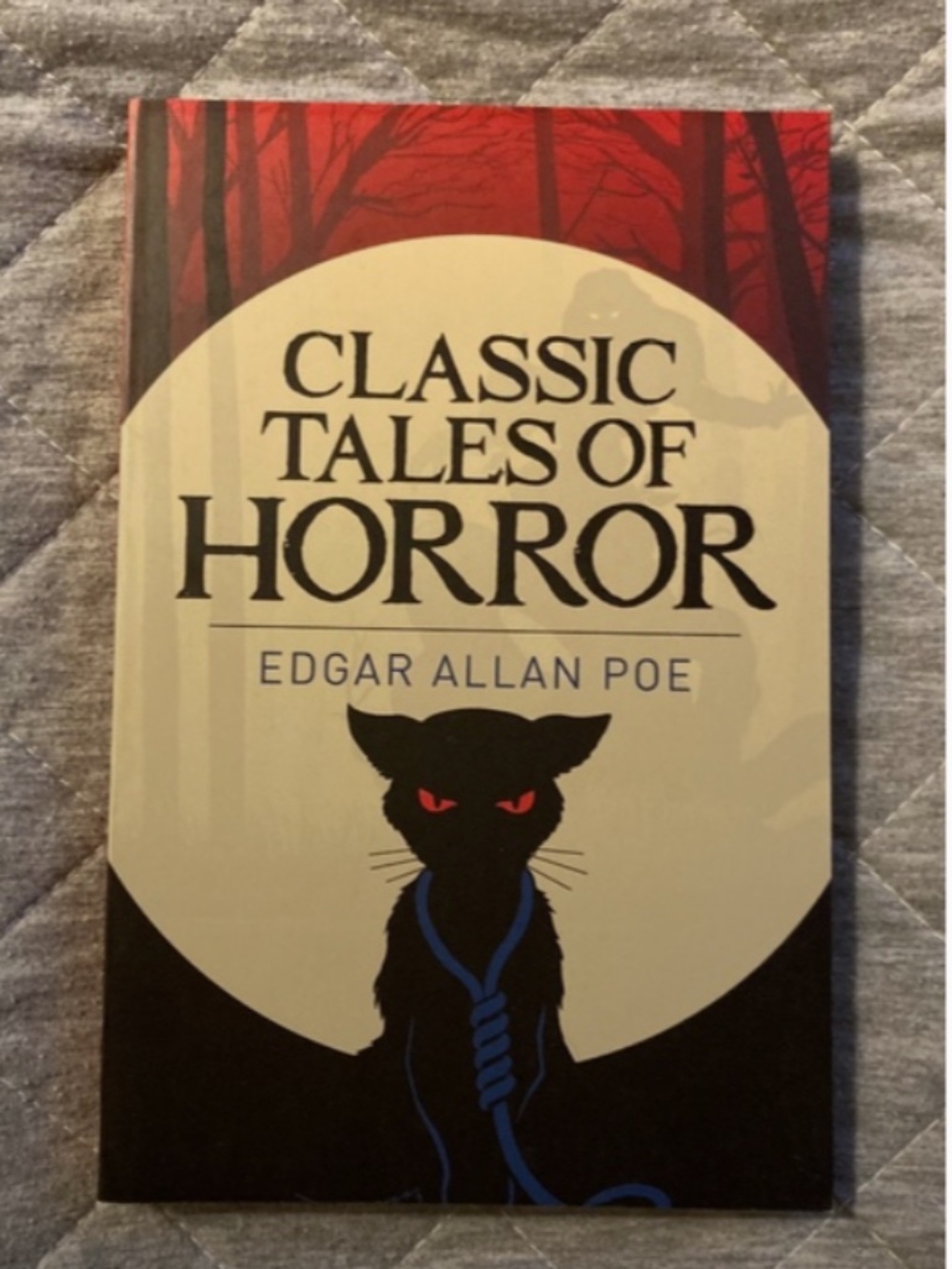 Edgar Allan Poe horror stories book